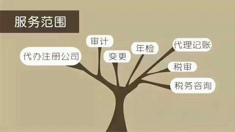 代理记账：新手也能轻松搞定财务问题